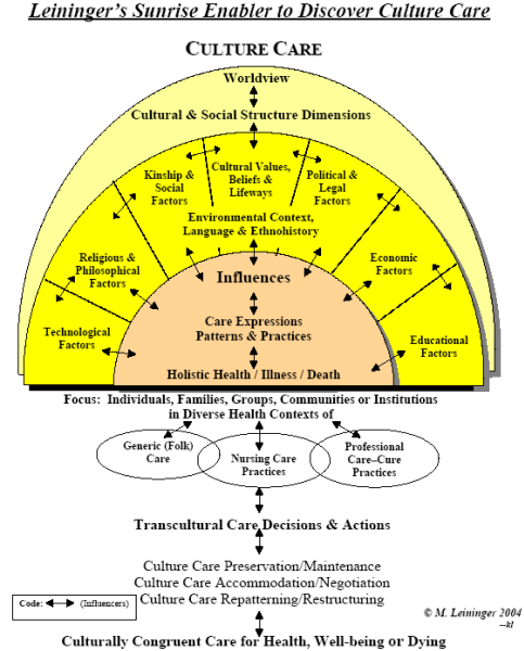 Leininger's Sunrise Enabler to Disconer Culture Care
