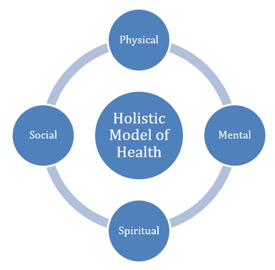 Health Care Model | Healthcare Essay Example