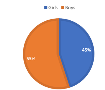 Descriptive Data: Children’s Gender.