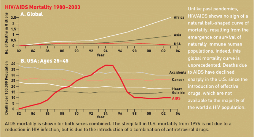 Source: Taken from: HIV and National Security: Where are the Links? A Council on Foreign Relations Report. By Laurie Garret. The Council on Foreign Relations, United States, 2005