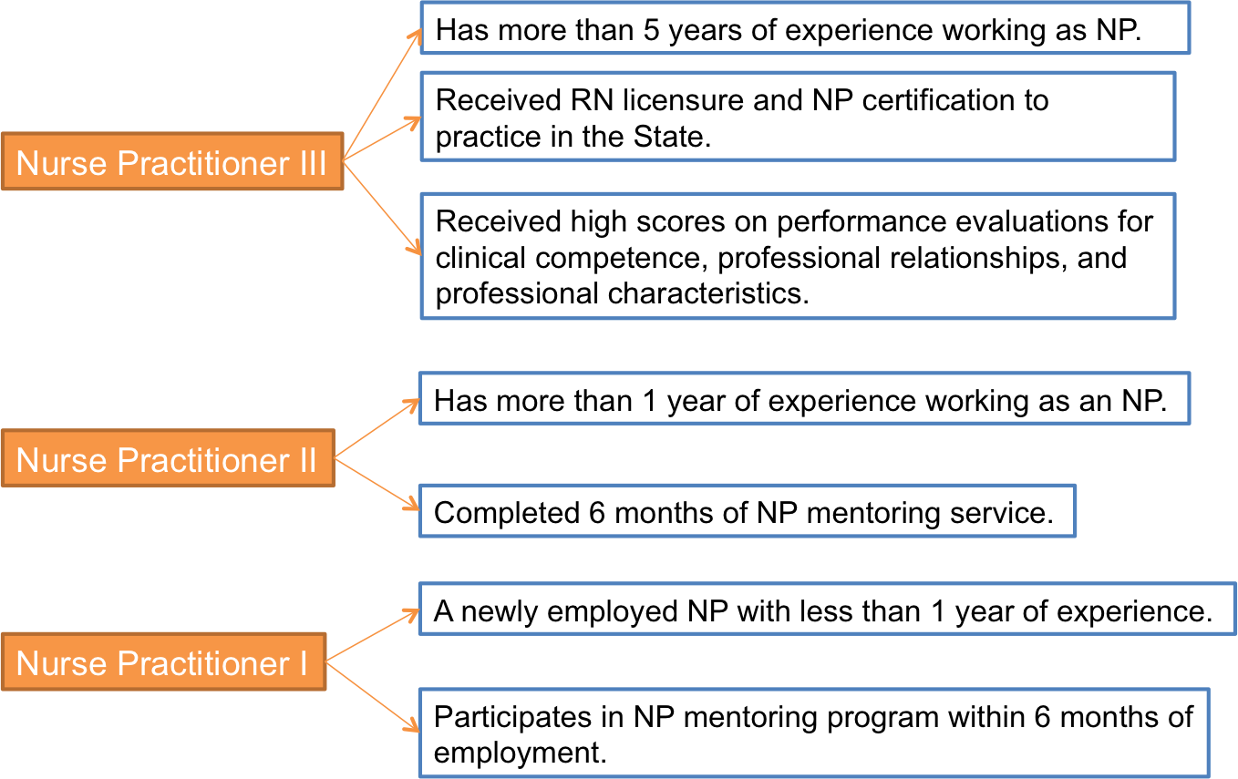 What is clinical 2025 ladder in nursing