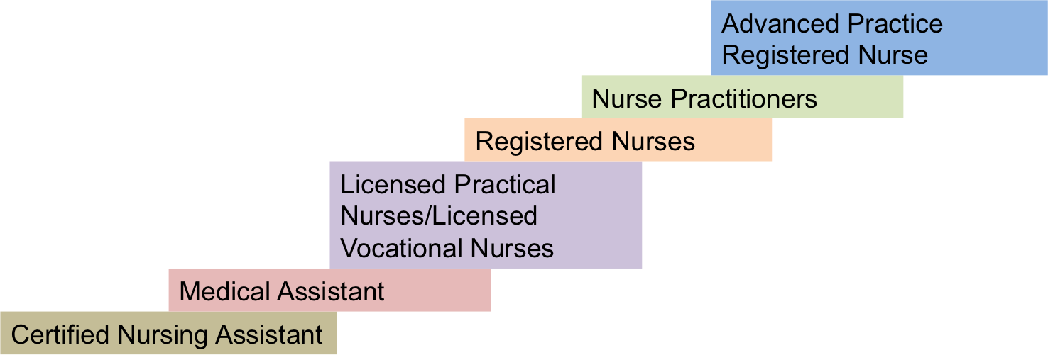 Nurse Practitioner Clinical Ladder 2202 Words Free Paper Example
