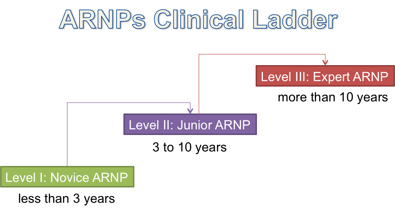 What is a clinical level 2025 1 nurse