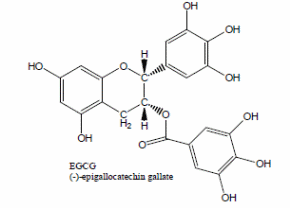 Epigallocatechin-3-gallate (EGCG)