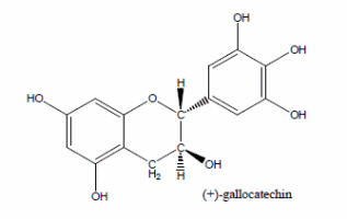 Gallocatechin