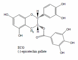 Epicatechin-3-gallate (ECG)