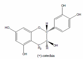 Catechin