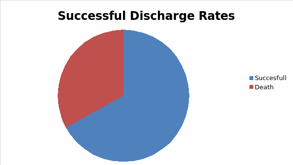 Successful Discharge Rates