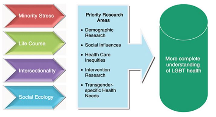 The different conceptual perspectives that may be applied in minority areas to enhance a better understanding of the health issues and concerns of gays, lesbians, transgender, and bisexuals