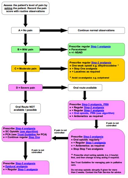 Appendix 7