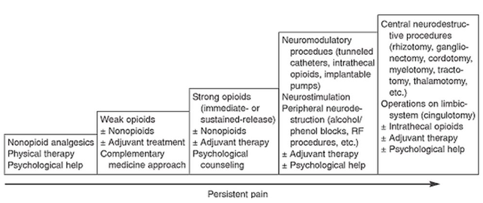 Appendix 8