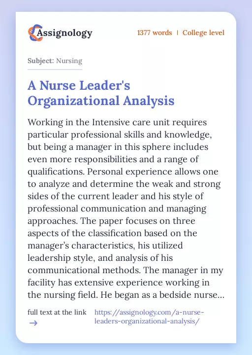 A Nurse Leader's Organizational Analysis - Essay Preview