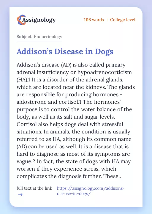 Addison’s Disease in Dogs - Essay Preview