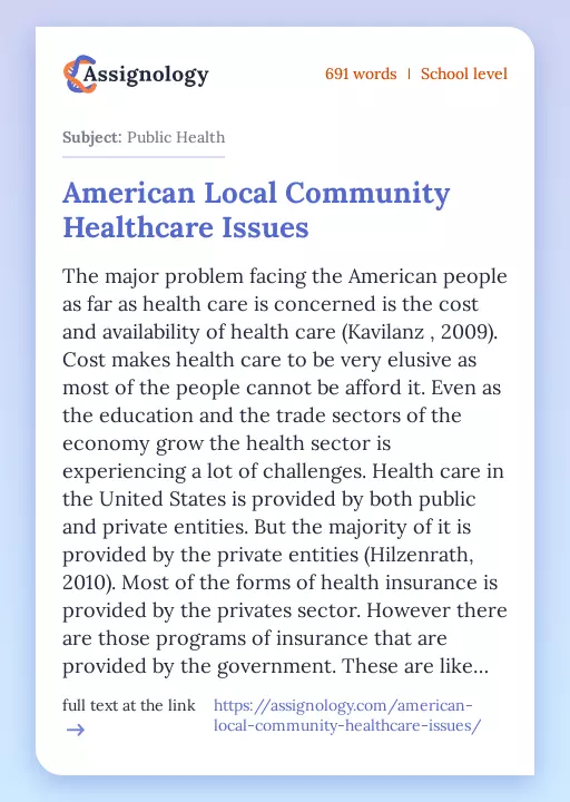 American Local Community Healthcare Issues - Essay Preview