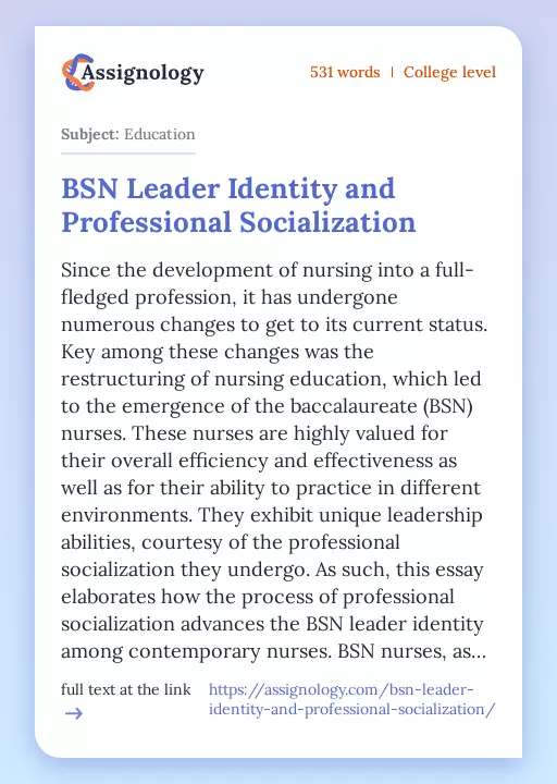 BSN Leader Identity and Professional Socialization - Essay Preview