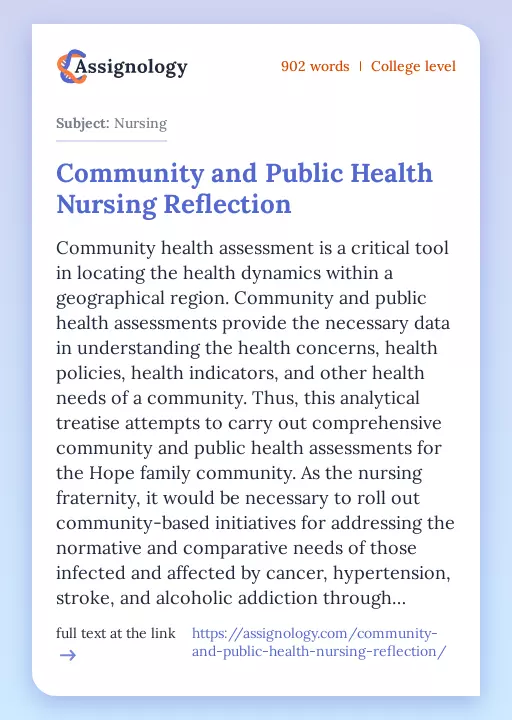 Community and Public Health Nursing Reflection - Essay Preview