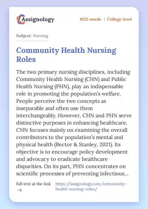 Community Health Nursing Roles - Essay Preview