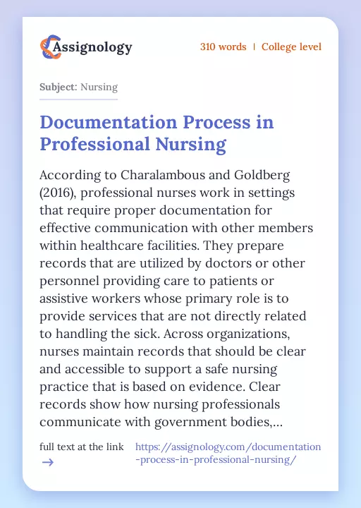 Documentation Process in Professional Nursing - Essay Preview