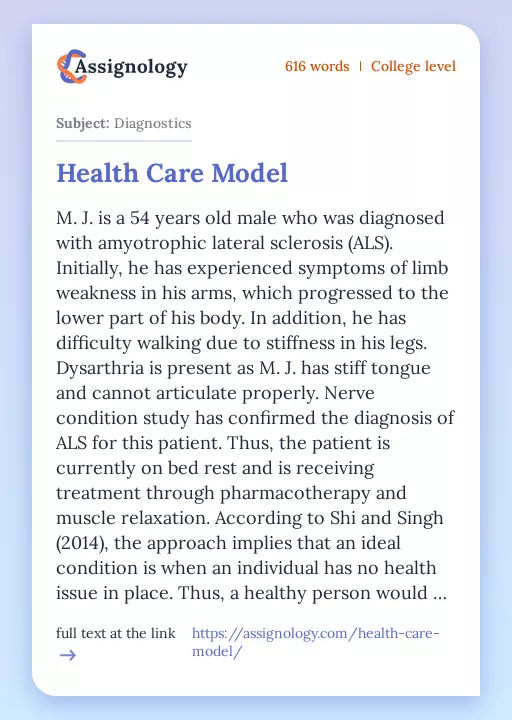 Health Care Model - Essay Preview