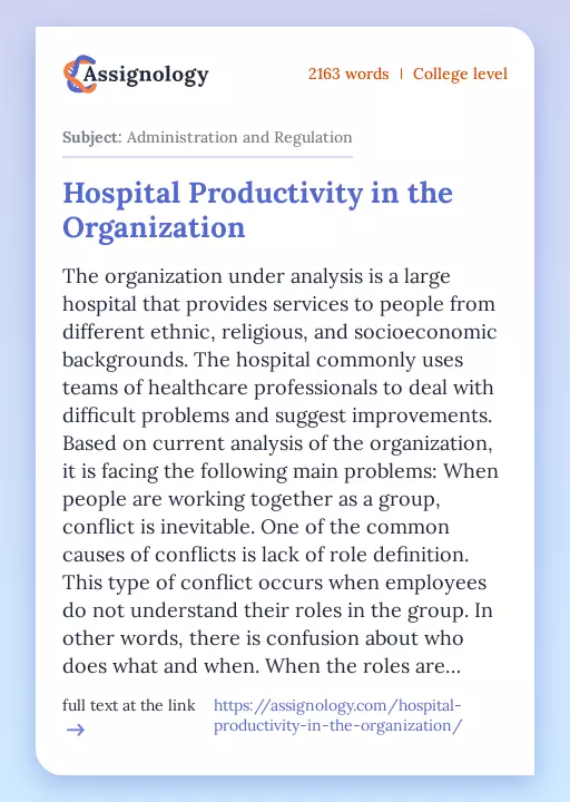 Hospital Productivity in the Organization - Essay Preview
