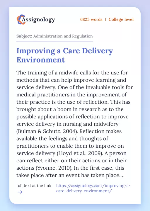 Improving a Care Delivery Environment - Essay Preview