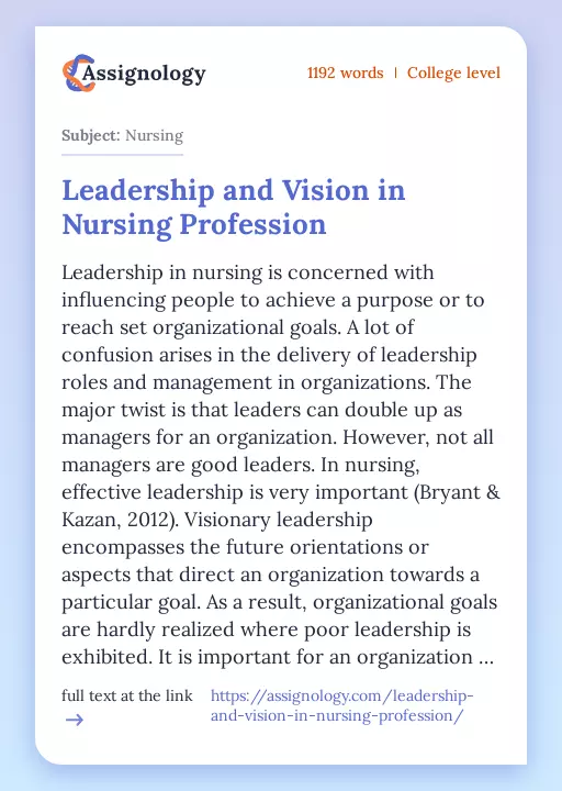 Leadership and Vision in Nursing Profession - Essay Preview