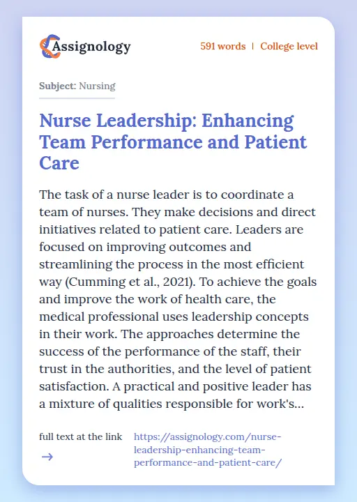 Nurse Leadership: Enhancing Team Performance and Patient Care - Essay Preview