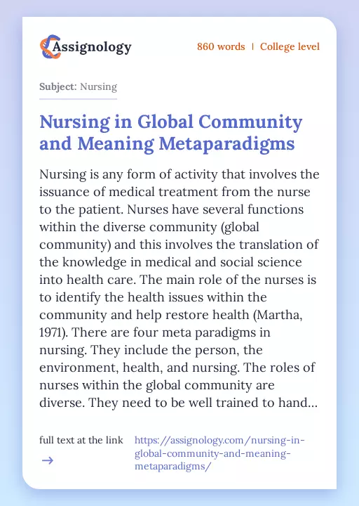 Nursing in Global Community and Meaning Metaparadigms - Essay Preview