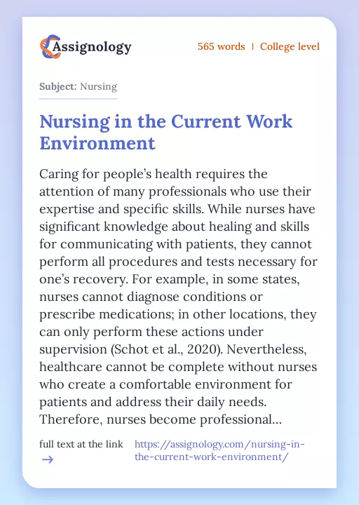 Nursing in the Current Work Environment - Essay Preview