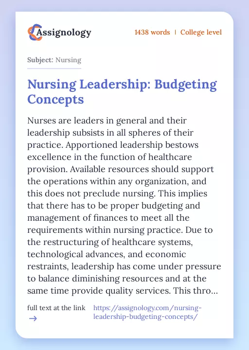 Nursing Leadership: Budgeting Concepts - Essay Preview
