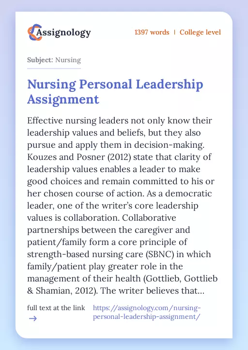 Nursing Personal Leadership Assignment - Essay Preview
