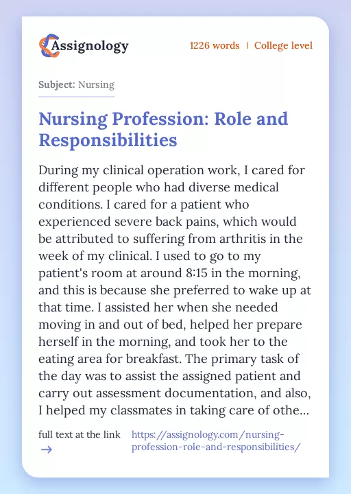 Nursing Profession: Role and Responsibilities - Essay Preview