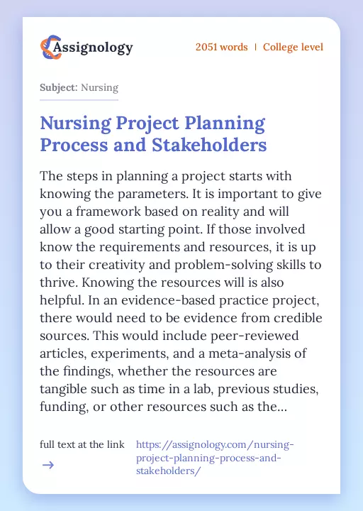 Nursing Project Planning Process and Stakeholders - Essay Preview
