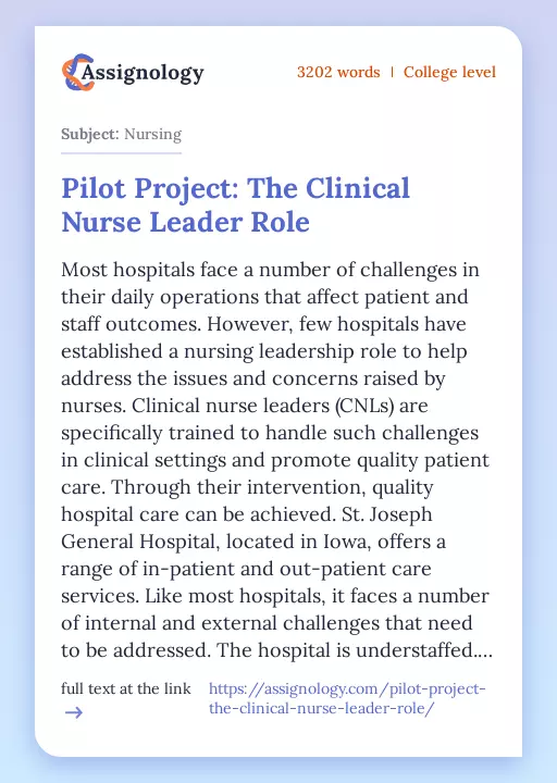 Pilot Project: The Clinical Nurse Leader Role - Essay Preview