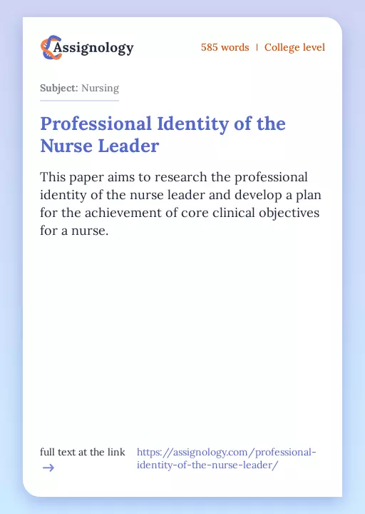Professional Identity of the Nurse Leader - Essay Preview
