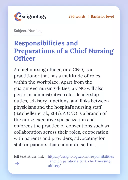 Responsibilities and Preparations of a Chief Nursing Officer - Essay Preview