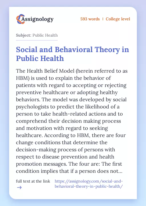 Social and Behavioral Theory in Public Health - Essay Preview