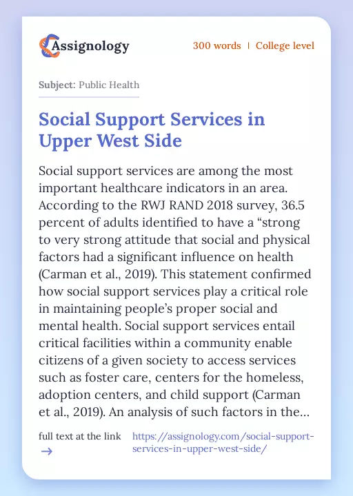 Social Support Services in Upper West Side - Essay Preview