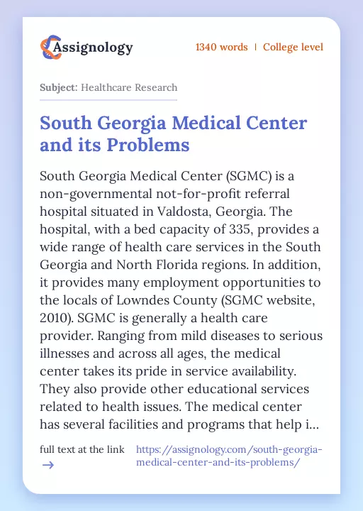 South Georgia Medical Center and its Problems - Essay Preview