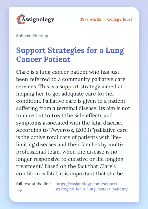 Support Strategies for a Lung Cancer Patient - Essay Preview
