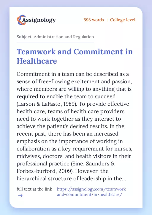 Teamwork and Commitment in Healthcare - Essay Preview