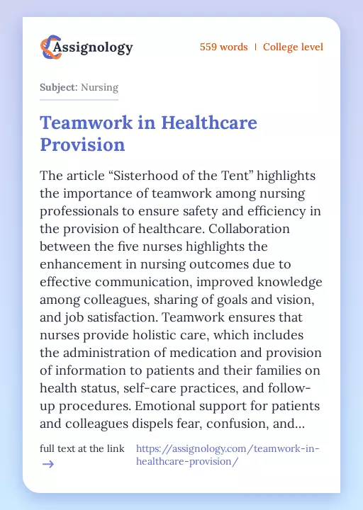 Teamwork in Healthcare Provision - Essay Preview