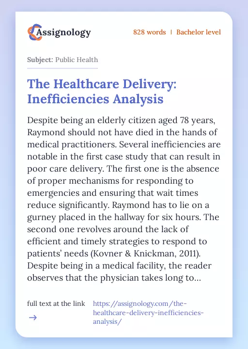 The Healthcare Delivery: Inefficiencies Analysis - Essay Preview