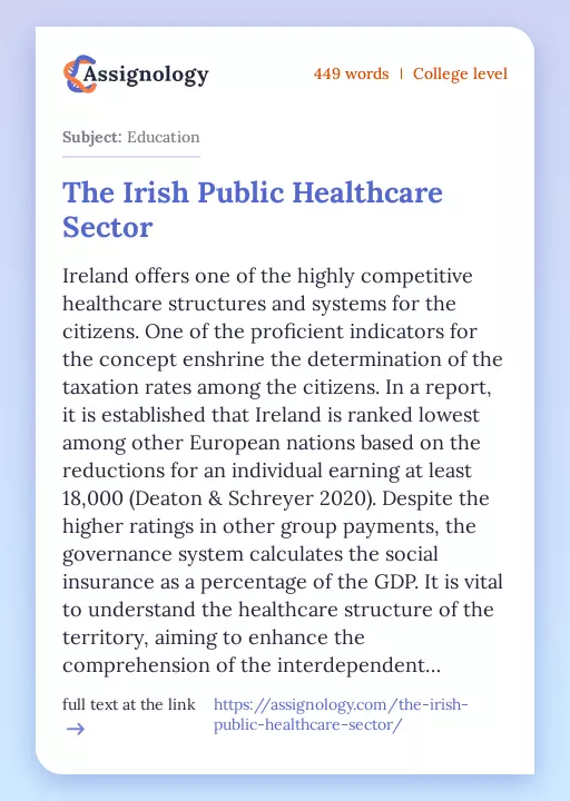 The Irish Public Healthcare Sector - Essay Preview