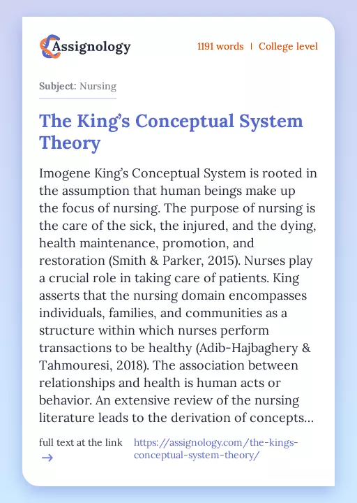 The King’s Conceptual System Theory - Essay Preview
