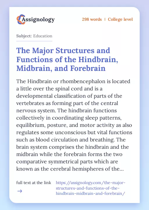 The Major Structures and Functions of the Hindbrain, Midbrain, and Forebrain - Essay Preview
