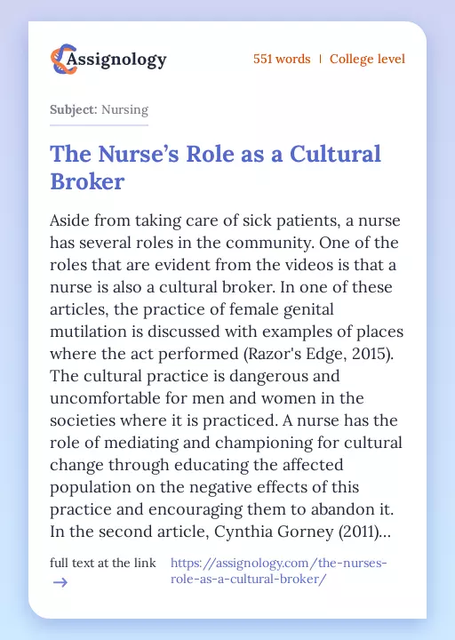 The Nurse’s Role as a Cultural Broker - Essay Preview