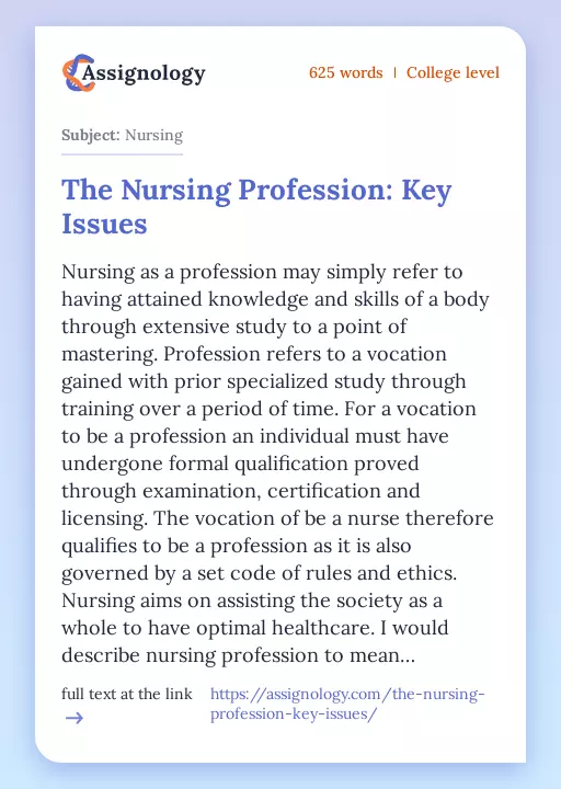 The Nursing Profession: Key Issues - Essay Preview