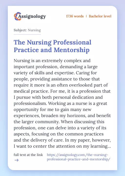 The Nursing Professional Practice and Mentorship - Essay Preview