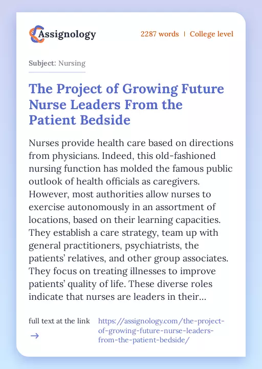 The Project of Growing Future Nurse Leaders From the Patient Bedside - Essay Preview